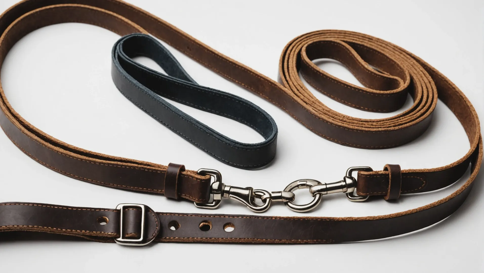 Leather dog leash placed next to nylon, biothane, and cotton rope leashes for comparison.