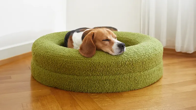 camas para perros australia,mejores fabricantes de camas para perros,camas de lujo para perros