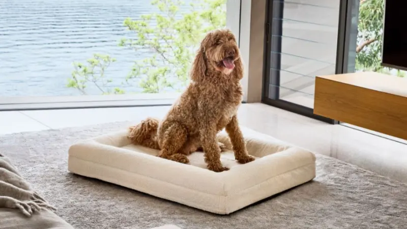 camas para perros australia,mejores fabricantes de camas para perros,camas de lujo para perros