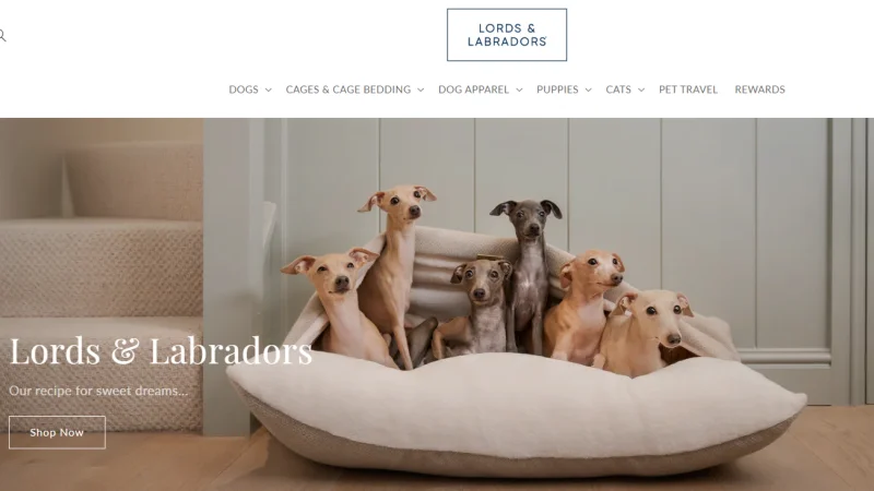 Produttori di cucce per cani, cucce per cani nel Regno Unito, comfort per animali domestici