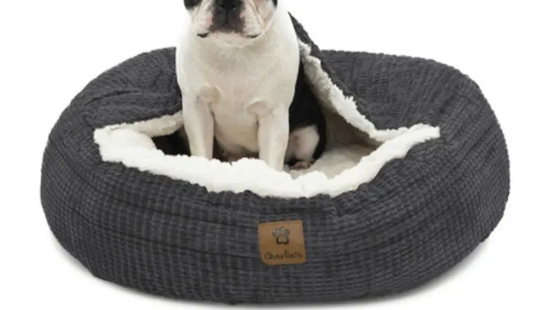 camas para perros australia,mejores fabricantes de camas para perros,camas de lujo para perros