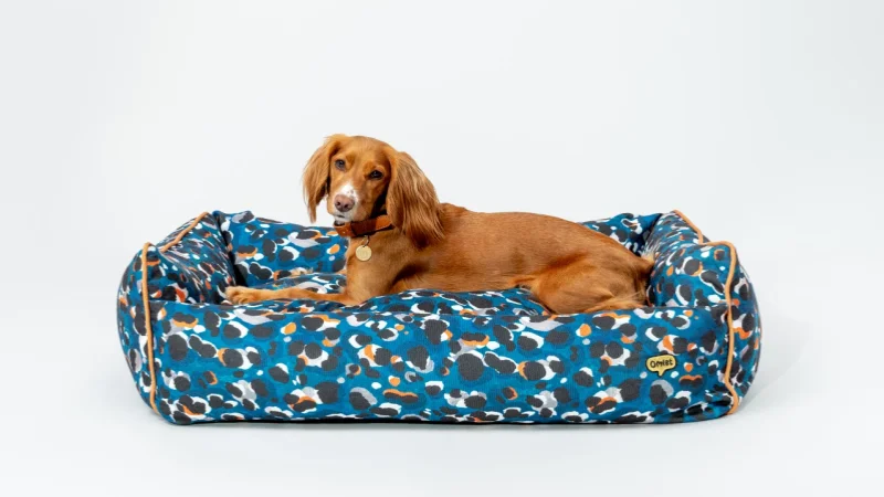 Produttori di cucce per cani, cucce per cani nel Regno Unito, comfort per animali domestici