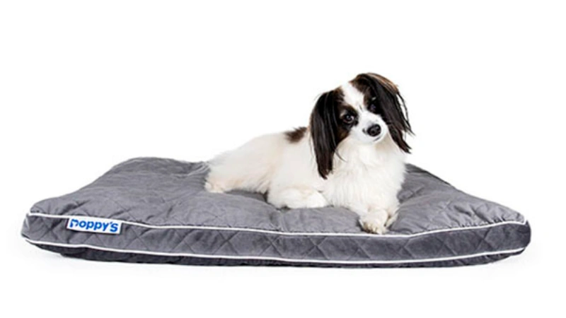 camas para perros australia,mejores fabricantes de camas para perros,camas de lujo para perros