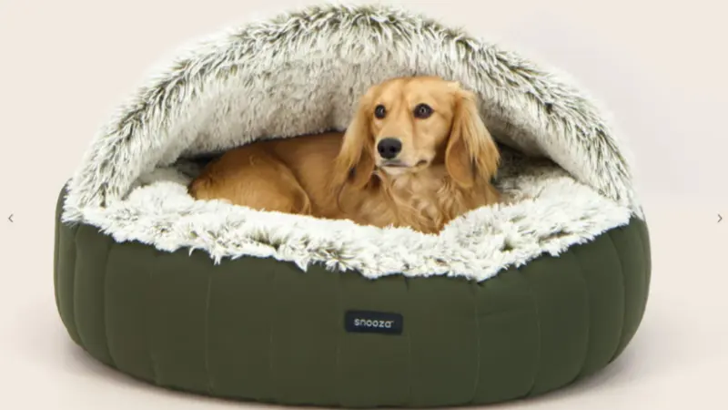 camas para perros australia,mejores fabricantes de camas para perros,camas de lujo para perros