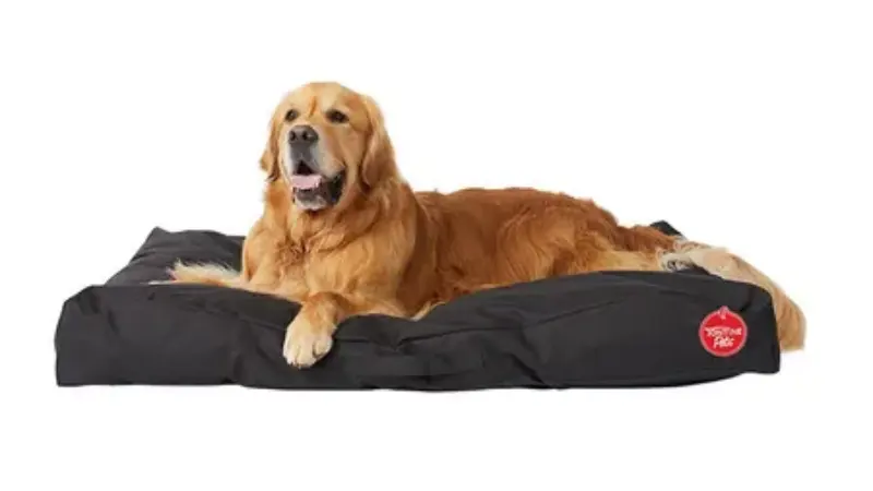 camas para perros australia,mejores fabricantes de camas para perros,camas de lujo para perros