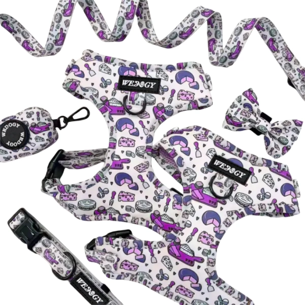 Harnais coloré pour chien avec laisse et accessoires assortis.