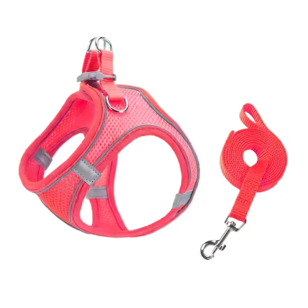 Set pettorina e guinzaglio rosso per animali domestici