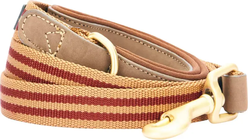 Guinzaglio per cani in pelle Blueberry Pet Classic