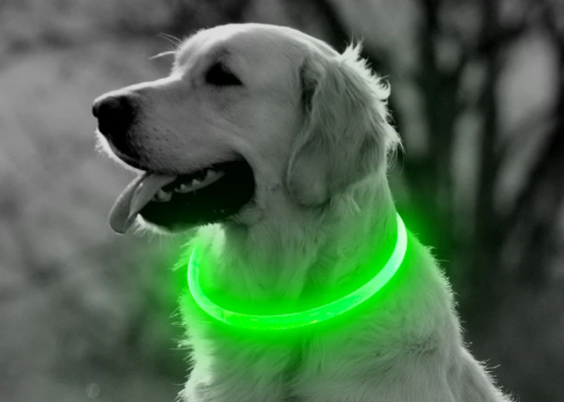 Collare per cani a LED ricaricabile USB BSEEN