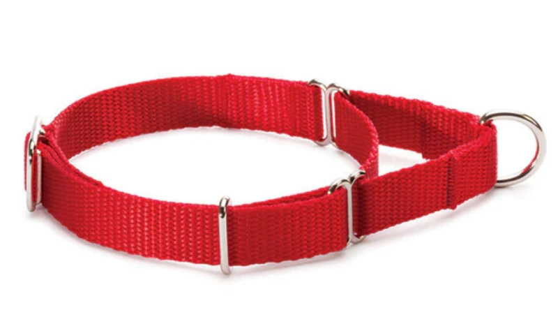 Campbell Pet Company Halsband im Martingal-Stil