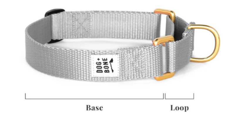 Dog + Bone Custom Farbe Martingal Halsband