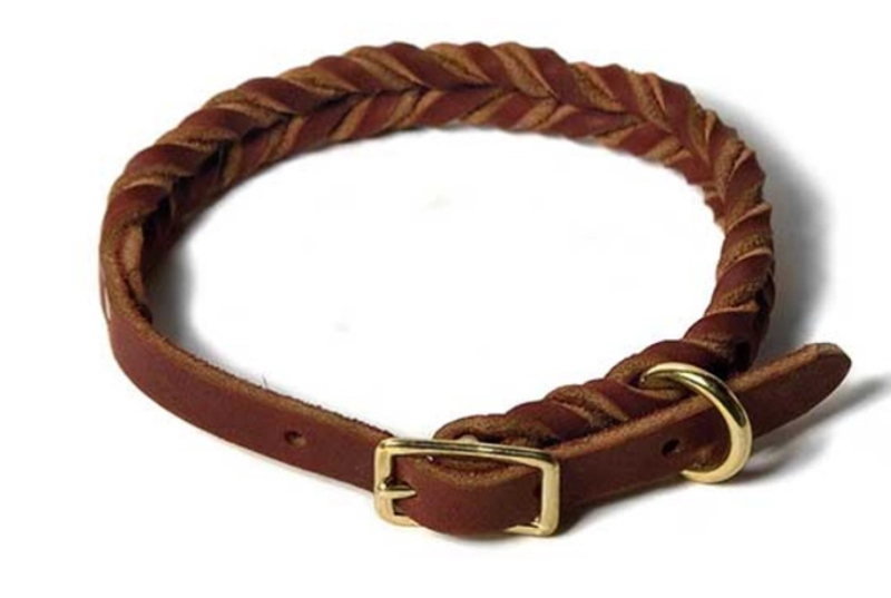J&J Dog Supplies Deluxe Full-Braided Leder Hundehalsband