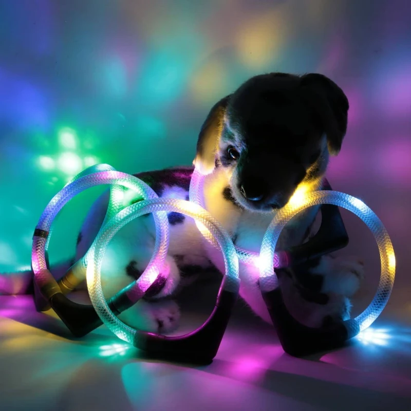 Collare per cani LEUCHTIE LED
