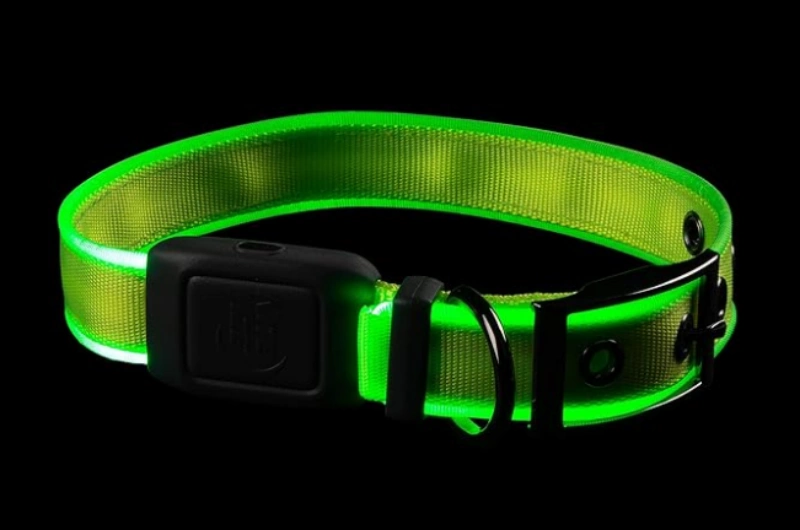 Collare Nite Ize NiteDog a LED ricaricabile