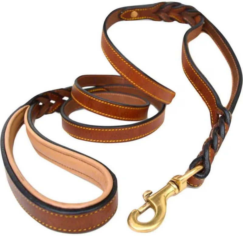 Guinzaglio in pelle per cani PetSafe Premier