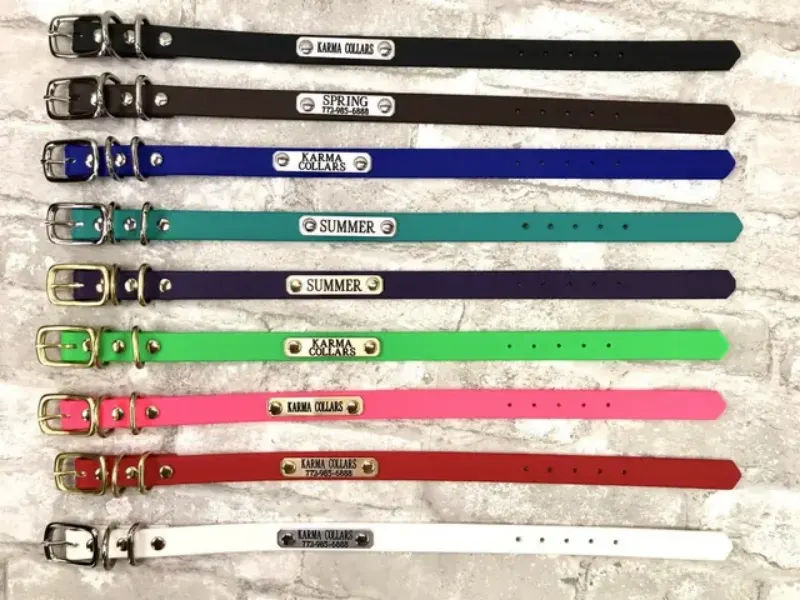 Collare impermeabile per cani largo 3/4" con targhetta identificativa