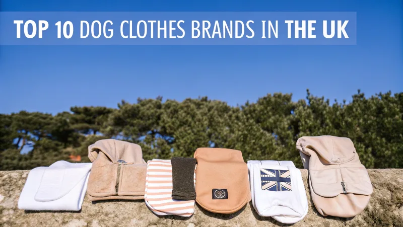 Las mejores marcas británicas de ropa para perros expuestas al aire libre.