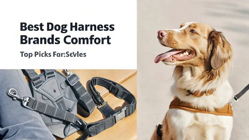 Las mejores marcas de arneses confortables para perros.