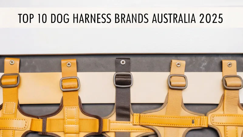 Las mejores marcas de arneses para perros Australia 2025.