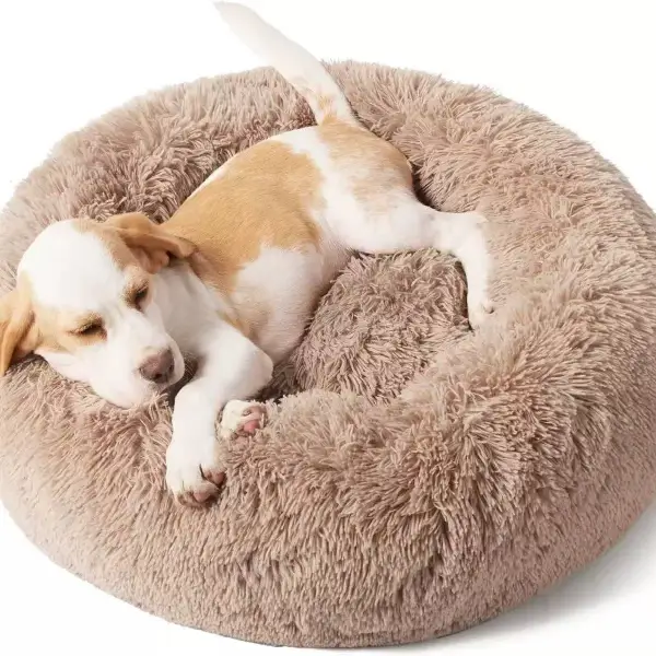 Cachorro a dormir numa cama de cão redonda e fofa
