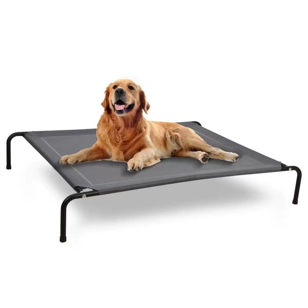 Golden retriever numa cama elevada para animais de estimação