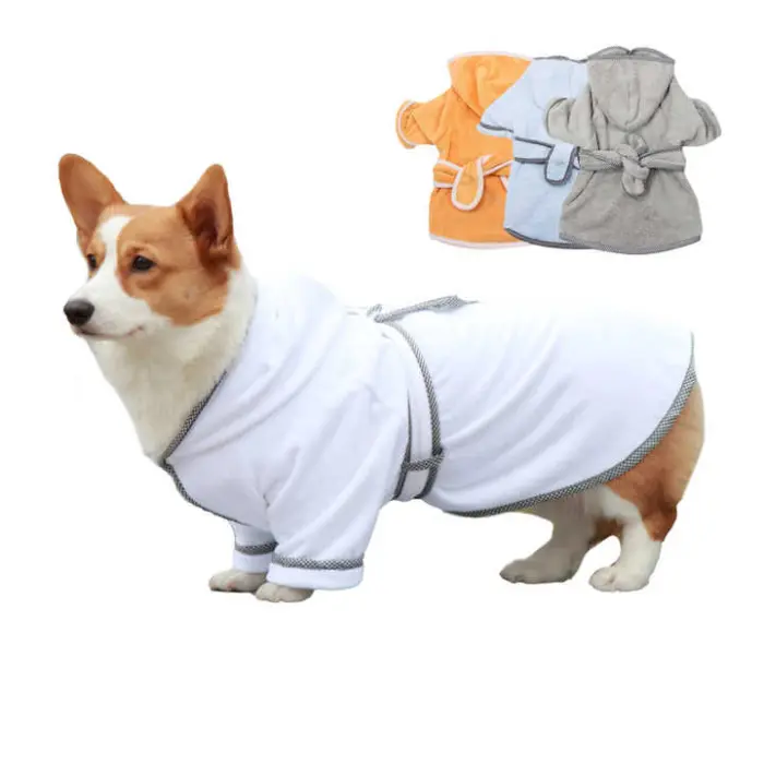 Corgi con albornoz blanco con variaciones de color.