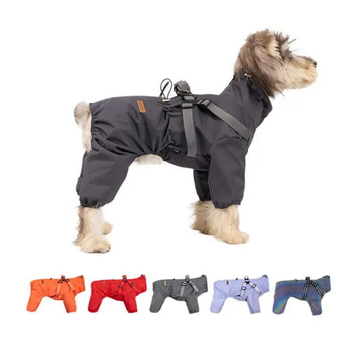 Perro en abrigo impermeable con opciones de color