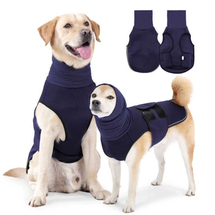 Perros con trajes de recuperación azul marino