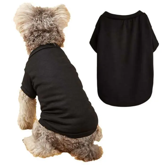 Perro con camisa negra con vista extra