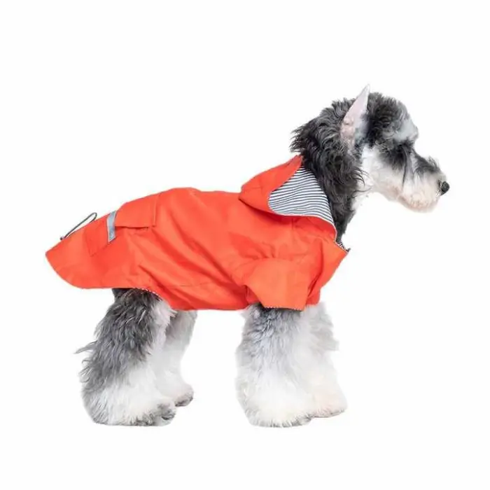 Perro con chubasquero naranja.