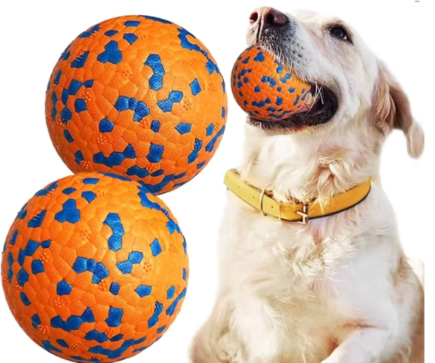 Hund spielt mit orangefarbenem und blauem Ball