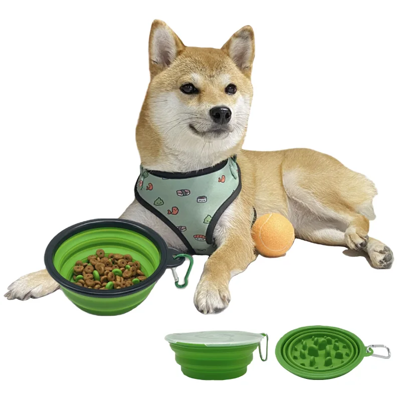 Dog with collapsible bowl and tennis ball.