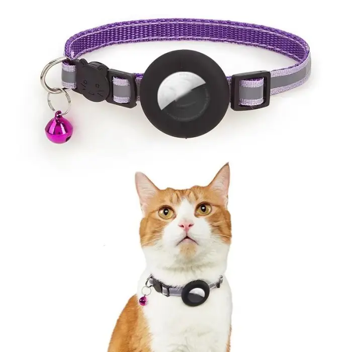 Cat wearing purple collar with bell and tracker.