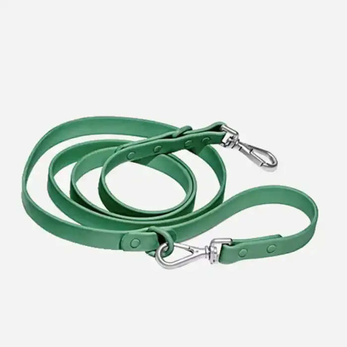 Green dog leash with metal clasp