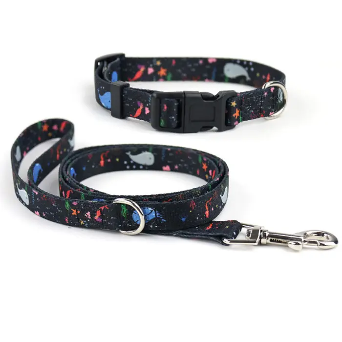 Colorful pet collar and leash set on white background.