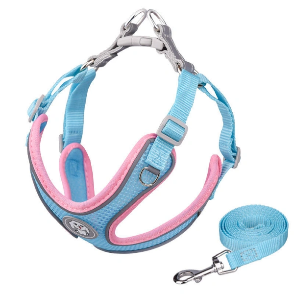 Blue and pink dog harness with leash.