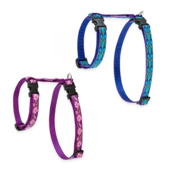 Colorful pet collars with patterns