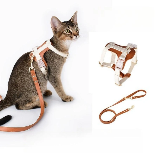 Cat wearing leather harness and leash set