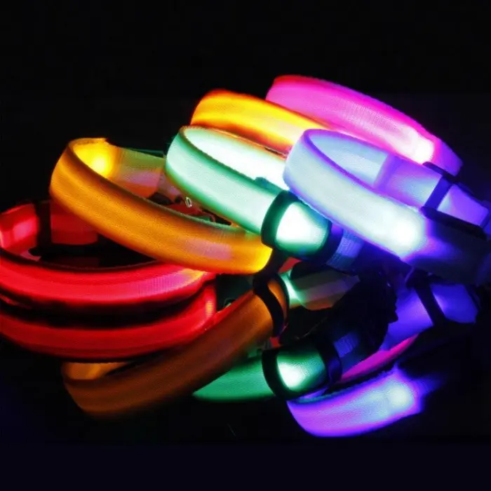 Colorful LED dog collars in the dark
