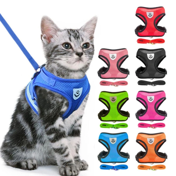 Cat in blue harness with leash, multiple colors available.
