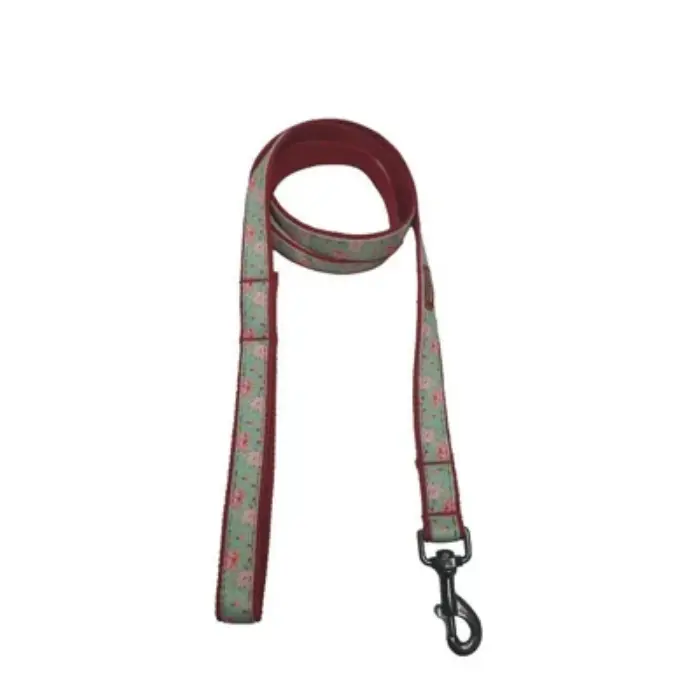 Red and green floral dog leash on white background.