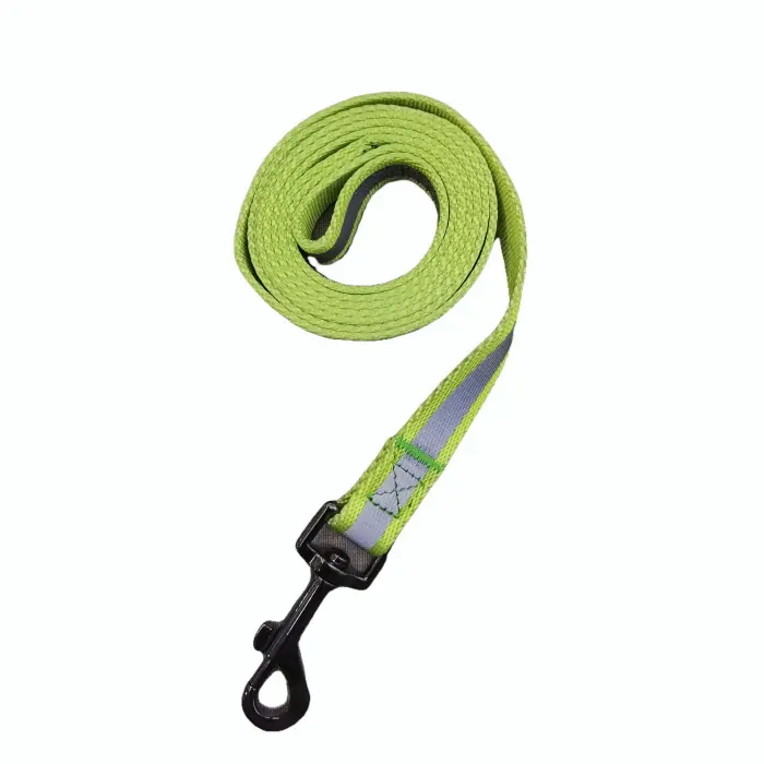 Green dog leash with reflective strip and clip