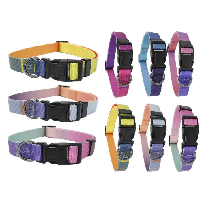 Colorful adjustable dog collars with buckles.