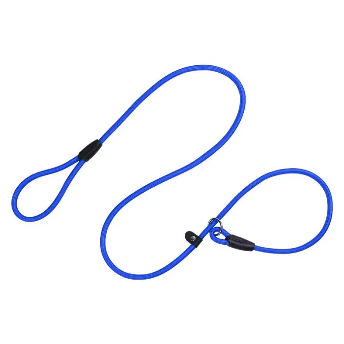 Blue dog leash with adjustable loops