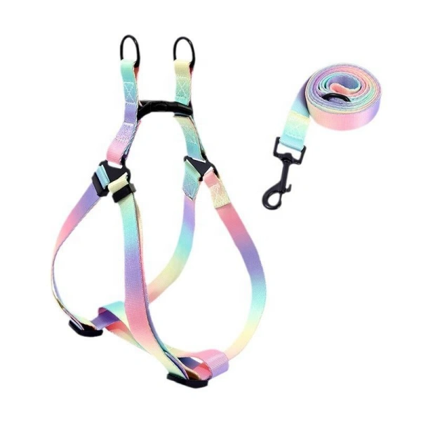 Colorful rainbow dog harness and leash set