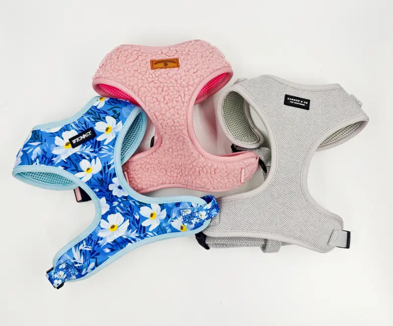 다양한 디자인의 컬러풀한 애완동물 하네스.