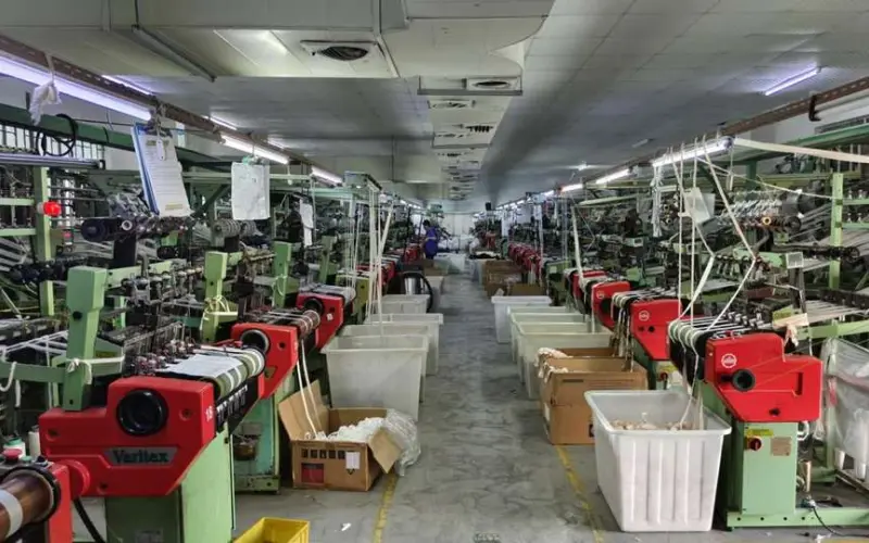 wedogy dog harness webbing